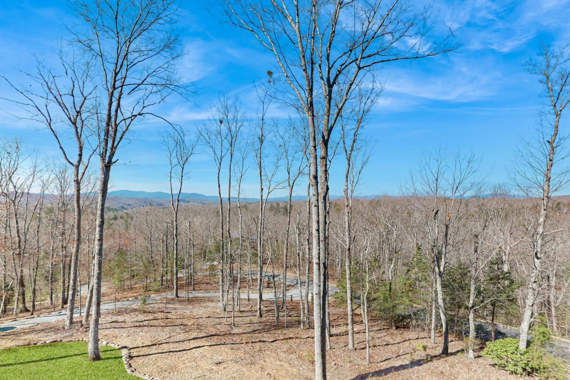 Bougie Bear Cabin Morganton Exterior photo